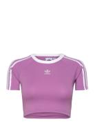 3 S Baby Tee Sport Crop Tops Short-sleeved Crop Tops Purple Adidas Ori...