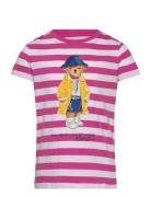 Striped Polo Bear Cotton Jersey Tee Tops T-Kortærmet Skjorte Pink Ralp...