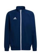 Ent22 Pre Jkt Outerwear Sport Jackets Navy Adidas Performance