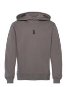 Regular Fit Hoodie Tops Sweatshirts & Hoodies Hoodies Grey HAN Kjøbenh...