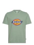 Icon Logo Tee Designers T-Kortærmet Skjorte Green Dickies