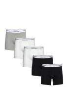 Boxer Brief 5Pk Boxershorts Black Calvin Klein