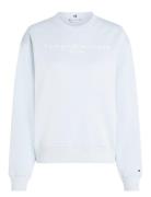 Mdrn Reg Corp Logo C-Nk Swtshrt Tops Sweatshirts & Hoodies Sweatshirts...