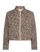 Charlie Printed Denim Jacket Jakke Denimjakke Brown French Connection