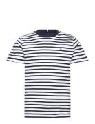 Essential Cotton Reg Tee Ss Tops T-Kortærmet Skjorte Navy Tommy Hilfig...