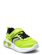 J Assister Boy C Low-top Sneakers Green GEOX