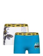 Boxer Night & Underwear Underwear Underpants Blue Batman