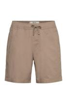 Hco. Guys Shorts Bottoms Shorts Casual Brown Hollister