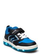 J Buzzerlight Boy B Low-top Sneakers Blue GEOX