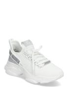 Maxilla-R-E Sneaker Low-top Sneakers White Steve Madden