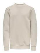 Osjceres Crew Neck Swt Noos Tops Sweatshirts & Hoodies Sweatshirts Gre...