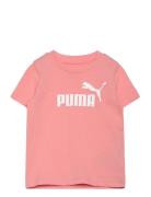 Ess No. 1 Logo Tee Ps Sport T-Kortærmet Skjorte  PUMA