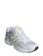 Adistar Cushion Sport Sport Shoes Sport Sneakers Sport Low Top Sneaker...