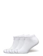 Performance Basic No Show 3 Pack Sport Sport Clothing Sport Socks Whit...