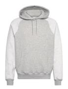 Hco. Guys Sweatshirts Tops Sweatshirts & Hoodies Hoodies Grey Holliste...