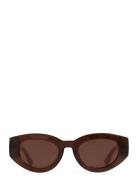 Ines Solbriller Brown Corlin Eyewear