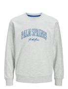 Jjdetroit Sweat Crew Neck Tops Sweatshirts & Hoodies Hoodies Grey Jack...