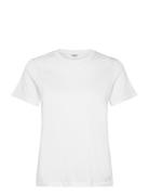 Centre T-Shirt Sport Women Sport Clothing Sports Tops & T-shirts Sport...