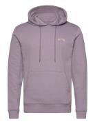 Arch Po Lt Sport Sport Clothing Sport Sweatshirts & Hoodies Sport Hood...