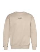 Halo Graphic Crew 02 Tops Sweatshirts & Hoodies Sweatshirts Beige HALO