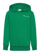 Hooded Sweatshirt Tops Sweatshirts & Hoodies Hoodies Green Champion