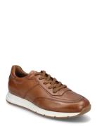 Amsterdam Low-top Sneakers Brown Lloyd