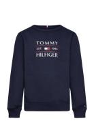 Tommy Flag Hilfiger Sweatshirt Tops Sweatshirts & Hoodies Sweatshirts ...