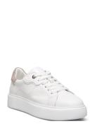 Ardisia Low-top Sneakers White Dasia