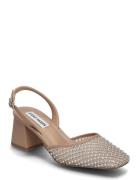 Network Slingbacks Shoes Sling Backs Heeled Slingbacks Brown Steve Mad...