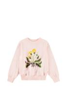 Marge Tops Sweatshirts & Hoodies Sweatshirts Pink Molo