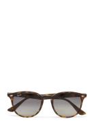 0Rb4259 Accessories Sunglasses D-frame- Wayfarer Sunglasses Brown Ray-...