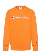 Crewneck Sweatshirt Tops Sweatshirts & Hoodies Sweatshirts Orange Cham...