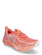 Noosa Tri 16 Sport Women Sport Shoes Sport Running Shoes Orange Asics