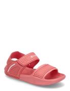Squirt G Ps Sandal Sport Summer Shoes Sandals Pink Champion