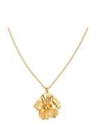 Daisy Necklace Accessories Jewellery Necklaces Dainty Necklaces Gold B...