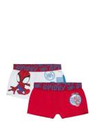 Boxer Undertøj Red Spider-man