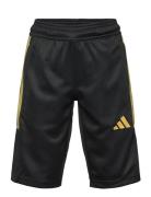 J Hot Cof Sho Sport Shorts Sport Shorts Black Adidas Sportswear