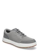 Low Lace Sneaker Designers Sneakers Low-top Sneakers Grey Timberland