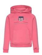 Archive Shield Raglan Hoodie Tops Sweatshirts & Hoodies Hoodies Red GA...