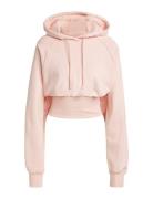 Asmc Cr Hoodie Sport Women Sport Clothing Sport Sweatshirts & Hoodies ...