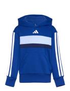 J 3S Tib Fl Hd Sport Sweatshirts & Hoodies Hoodies Blue Adidas Sportsw...