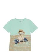 T-Shirt Ss Tops T-Kortærmet Skjorte Green Minymo