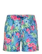Floral Print Swim Shorts Designers Shorts Multi/patterned GANT