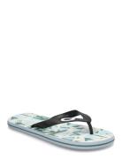 Catalina Flip Flop Klipklapper Sandaler Blue OAKLEY