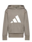 J Bl Ft Hd 280 Tops Sweatshirts & Hoodies Hoodies Brown Adidas Sportsw...