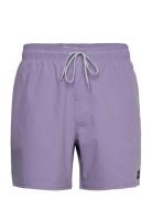 Daily Volley Badeshorts Purple Rip Curl