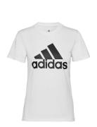 W Bl T Sport Women Sport Clothing Sports Tops & T-shirts Sport T-Skjor...