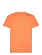 Borg Athletic T-Shirt Sport Men Men Sports Clothes Sport Tops Sport T-...