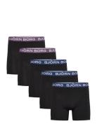 Cotton Stretch Boxer 7P Boxershorts Black Björn Borg