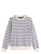 Essential Terry Stripe Crewneck Tops Sweatshirts & Hoodies Sweatshirts...